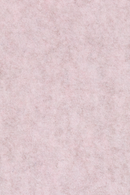 Pink Upcycled Dining Chairs (2) | Zuiver Thirsty | DutchFurniture.com