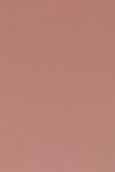 Modern Molded Dining Chairs (2) | DF Pip | Oroatrade.com