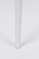 Modern Molded Dining Chairs (2) | DF Pip | Oroatrade.com