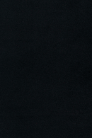 Modern Dining Armchair Set (2) | Zuiver Alba | Dutchfurniture.com