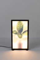 Houseplant Glass Floor Lamp | Zuiver Grow | Oroatrade.com