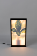 Houseplant Glass Floor Lamp | Zuiver Grow | Oroatrade.com