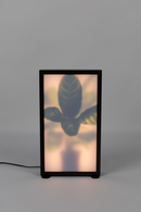Houseplant Glass Floor Lamp | Zuiver Grow | Oroatrade.com