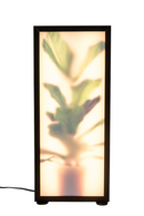 Houseplant Glass Floor Lamp | Zuiver Grow | Oroatrade.com