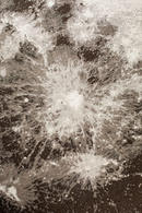 Round Woven Outdoor Rug | Zuiver Moon | Oroatrade.com