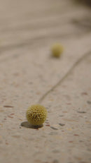 Oiled Oak Bench | Ethnicraft Bok | Oroatrade.com